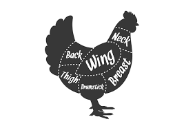 CHICKEN - HOENDER